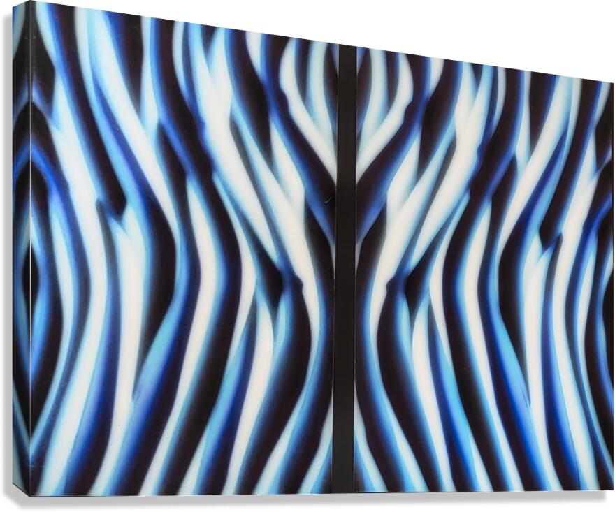 SF126 Canvas Print