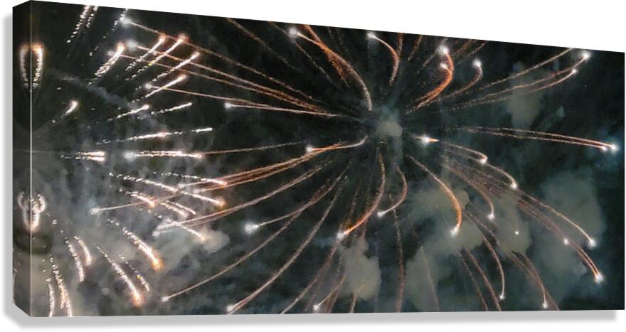 OZ226 Canvas Print