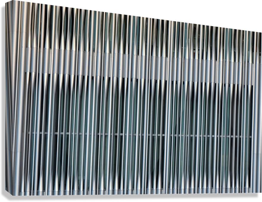 OZ209 Canvas Print