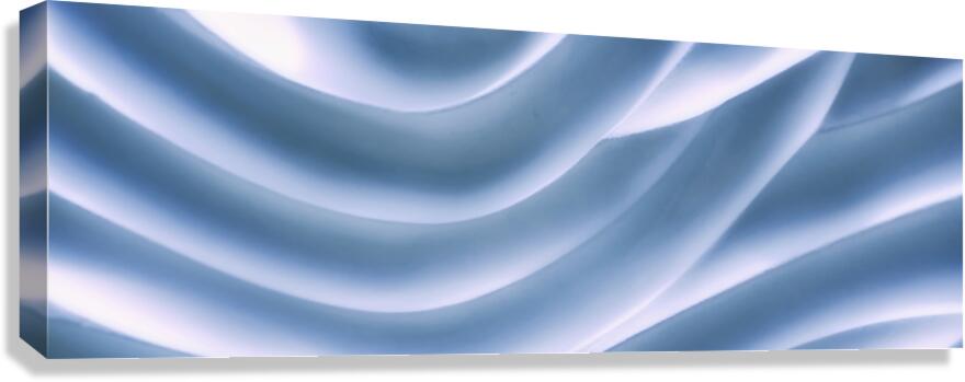 SF111 Canvas Print