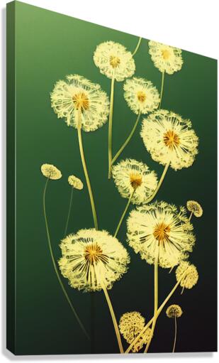 Dandelions Canvas Print
