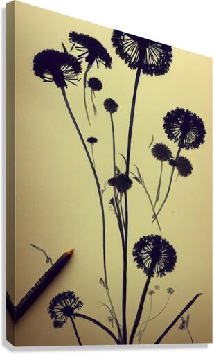 Dandelions Canvas Print