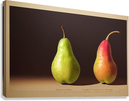 Two Pears Canvas Print