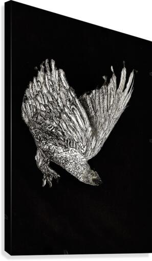 birdOFprey copy Canvas Print