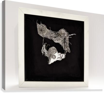 flying eye Canvas Print