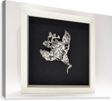 half of freedom Canvas Print