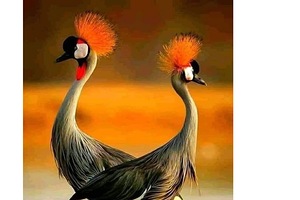 IMG 20240514 162402 6000 x 4000 pixel