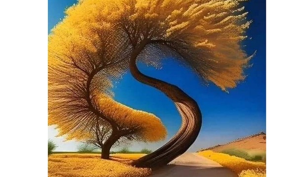 IMG 20240514 075202 5000 x 3000 pixel Print