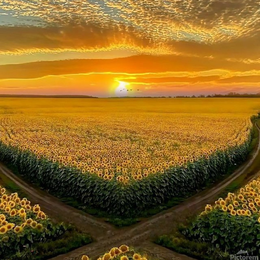 900_Gemini5_IMG_20240508_21301