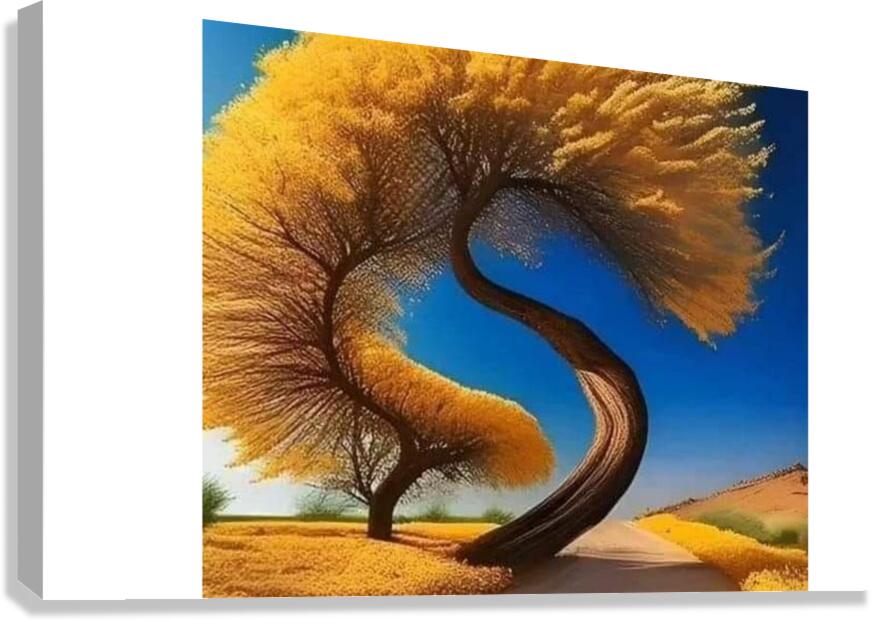 IMG 20240514 075202 5000 x 3000 pixel Canvas Print