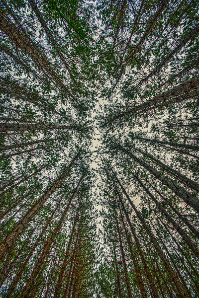 02 Look Up