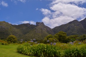 Kirstenbosch National Botanical Garden
