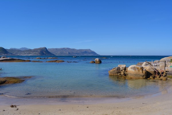 Boulders Beach Print