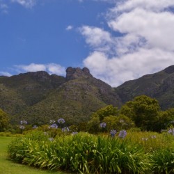 Kirstenbosch National Botanical Garden