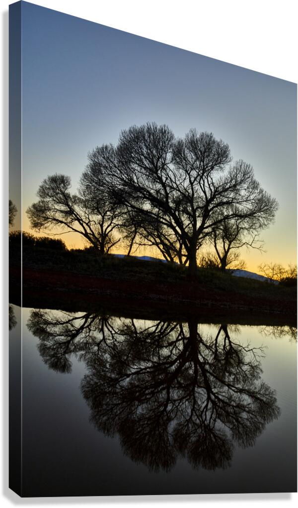Full Reflection 1 Canvas Print