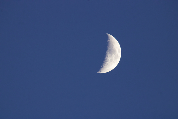 Moon  Print
