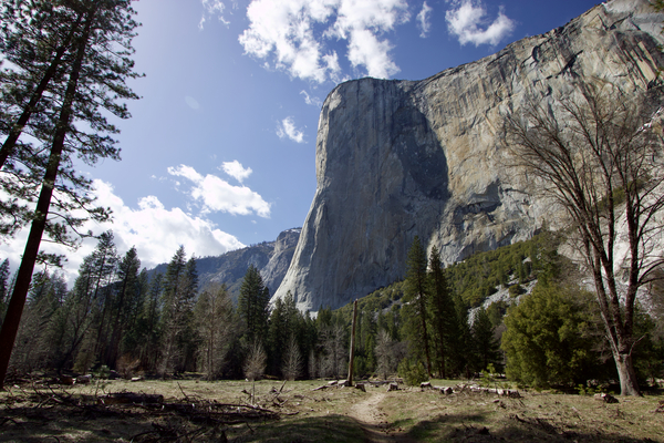 El Capitan Print