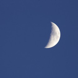 Moon 