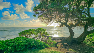 The Solar Lattice Architectural Reserve Limited Edition of 10 by Leland Rankin Fine Art