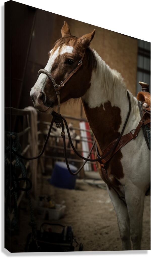 J64A9509 Canvas Print