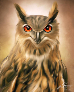Digital Owl 1