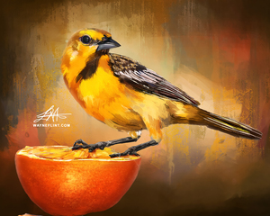 LunchTime