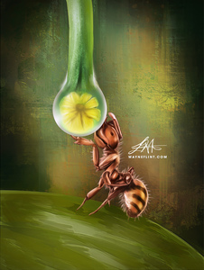 Digital Ant 1