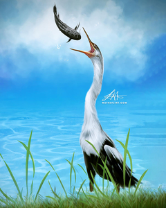 Digital Heron