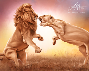 Lion Talk