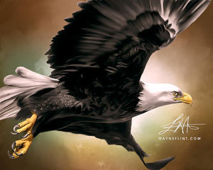 Digital Eagle