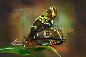 Digital Butterfly 3