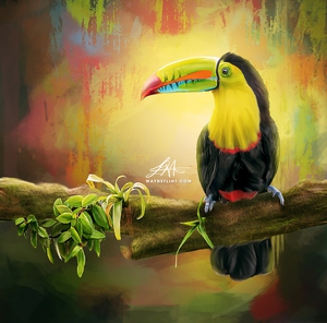 Digital Toucan