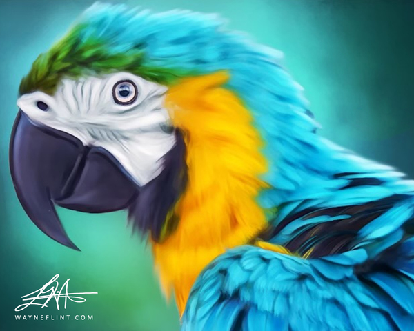 Digital Parrot  Digital Download
