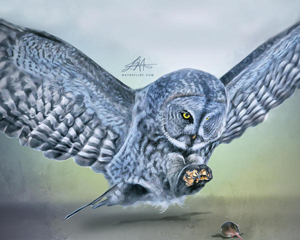 Digital Owl 2 by WAYNEFLINT