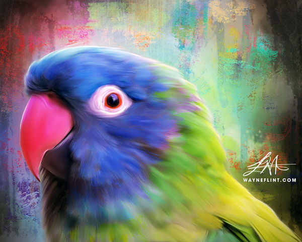 Blue Crowned Conure by WAYNEFLINT