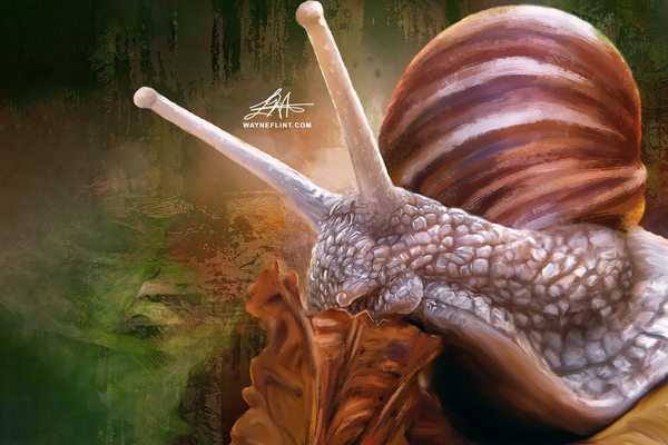 Digital Snail by WAYNEFLINT
