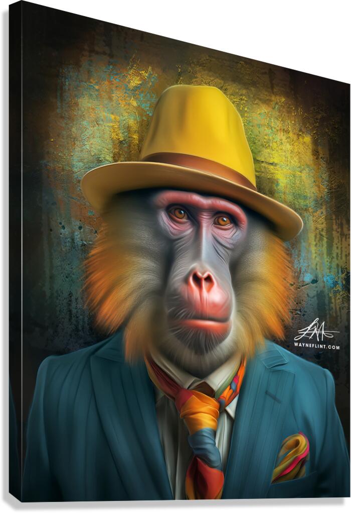 Mr Monkey Canvas Print
