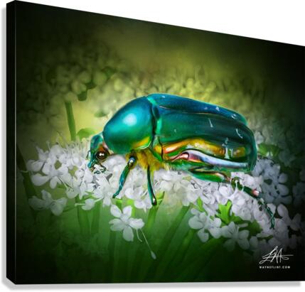 Digital Beetle 1 Canvas Print