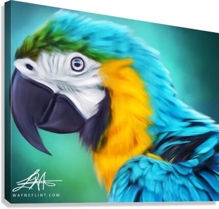 Digital Parrot  Canvas Print