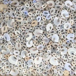 9FA49451 DCFC 4836 B64E 65D787BA7202