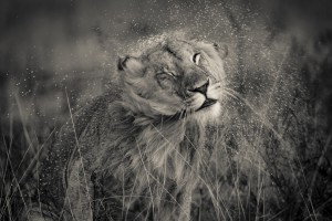 I hate the Rain