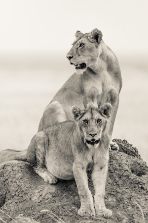 Mothers