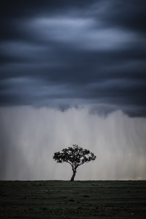 Drama in The Mara