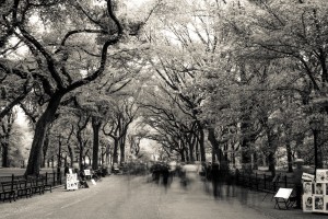 Ghosts of New York