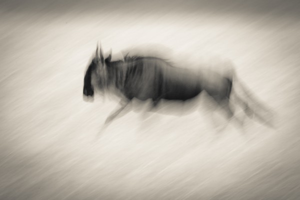 Ghost of Mara North - B&W Print
