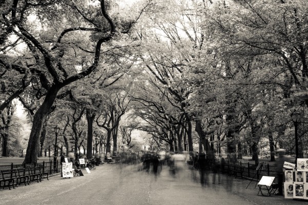 Ghosts of New York Print