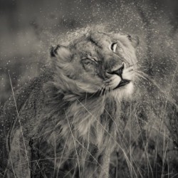 I hate the Rain
