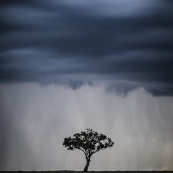 Drama in The Mara
