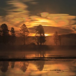 Northern Lights in Yellowstone