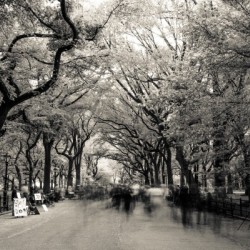 Ghosts of New York